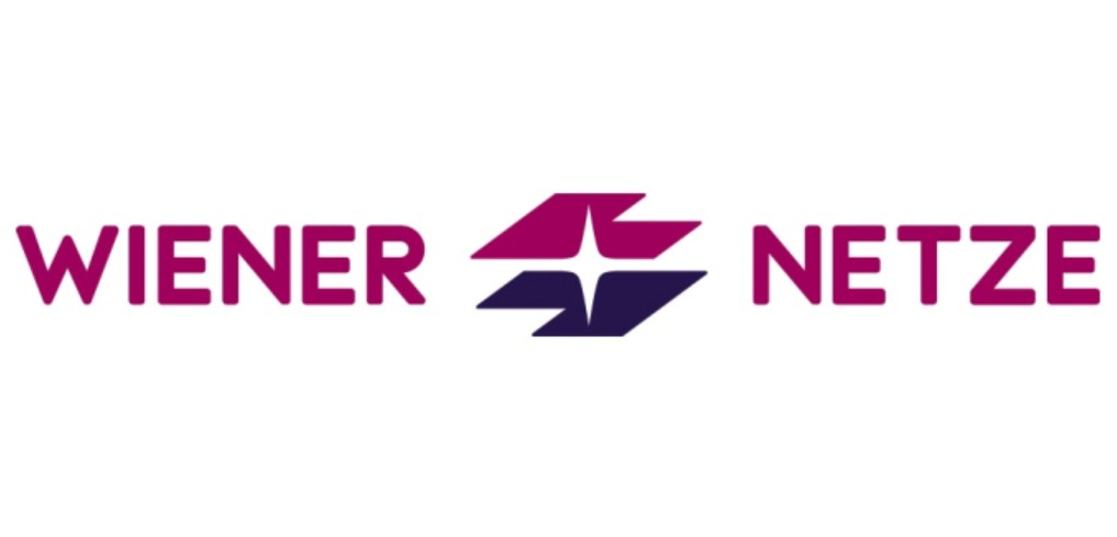 wiener netze